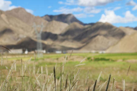 View of the mountain and Tibetan village with barley as the clear foreground in Tibet, Chinaの写真素材