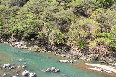 View of Katsura river in Arashiyama during springtime, Kyoto, Japan