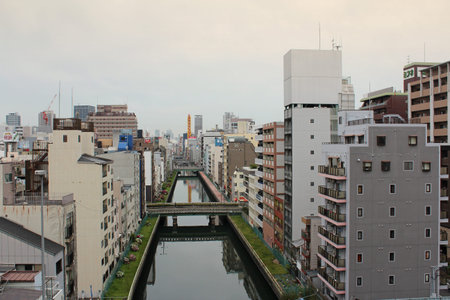 Morning cloudy view of Osaka with the Dotonbori Canal.