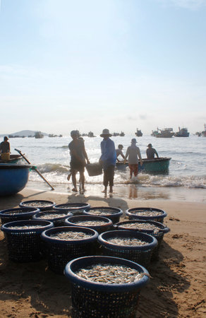 Mui Ne, Vietnam - June 27, 2017: Crowded scene of daily early morning fish market on beach with the fishermen carrying baskets of fishのeditorial素材