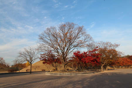 Autumn view of Daereungwon Royal Tomb park with the blue sky during sunset in Gyeongju, Soutn Koreaのeditorial素材