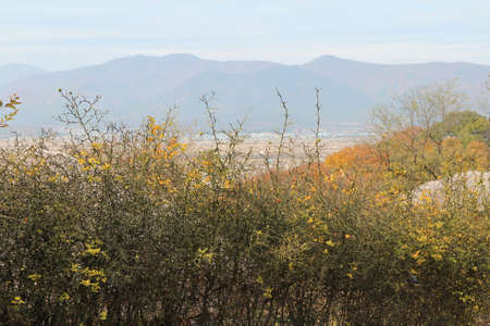Gyeongju landscape with the mountains and paddy fields in autumn from Yangdong Folk Village, South Koreaの写真素材