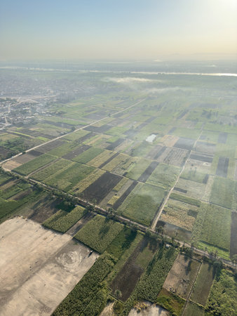 Aerial view of the crops on East bank of Luxor in the morningの写真素材