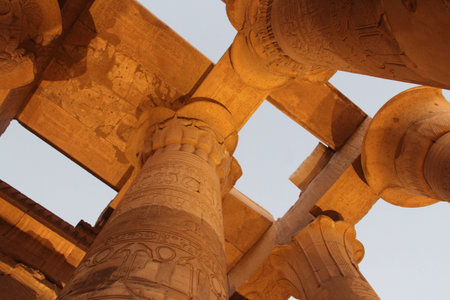 Open bud papyrus column carved with detailed reliefs at the Hypostyle Hall of Kom Ombo Temple, Egypt