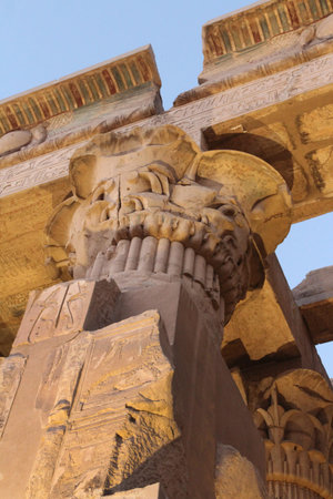 Open bud papyrus column carved with detailed reliefs at the entrance of Kom Ombo Temple, Egypt