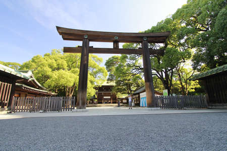 Meiji Jingu Big Torii Gateのeditorial素材