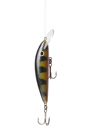 Fishing lure -floating wobbler on white background