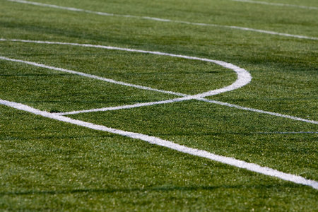 football grass background detail