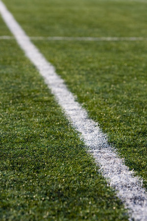 football grass background detail