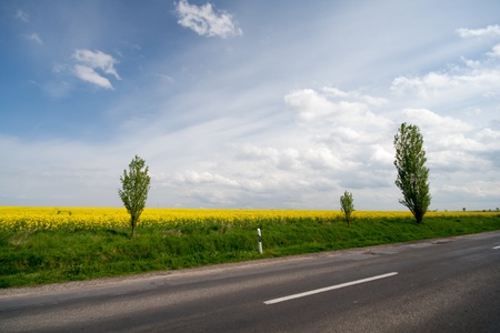 highway with rape and blue skyの写真素材