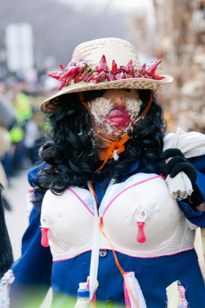 MOHACS, HUNGARY - MARCH 6: Unidentified people in mask participants at the Mohacsi Busojaras, it is a carnival for spring greetings) March 6, 2011 in Mohacs, Hungary.のeditorial素材