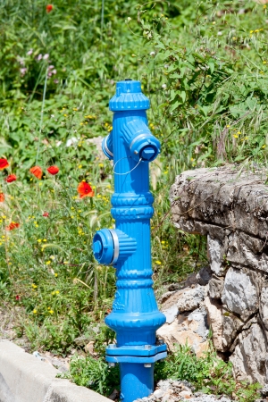 blue fire hydrant in natureの写真素材