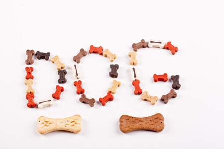 dog food text -created from small bonesの写真素材