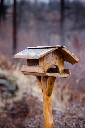 Bird feeder with foggy  landscapeの写真素材
