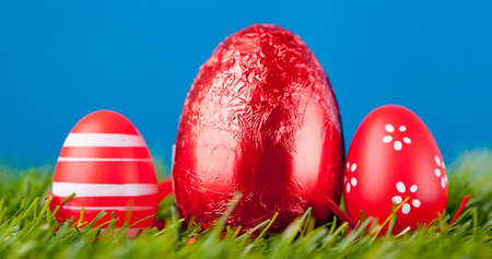 easter eggs in green grassの写真素材