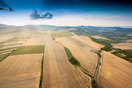 Aerial view of agricultural fields
