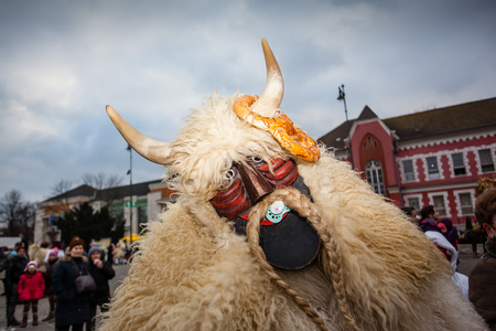 MOHACS, HUNGARY - FEBRUARY 17: Unidentified people in mask participants at the Mohacsi Busojaras, it is a carnival for spring greetings February 17, 2015 in Mohacs, Hungary.のeditorial素材