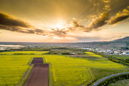 Rape field with stormy skyの写真素材