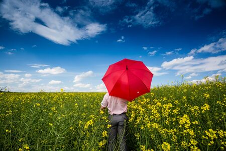 Businessman in rape field with umbrellaの写真素材
