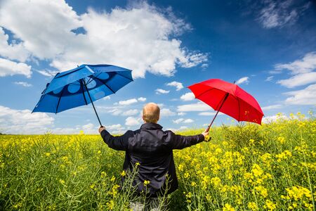 Businessman in rape field with umbrellasの写真素材
