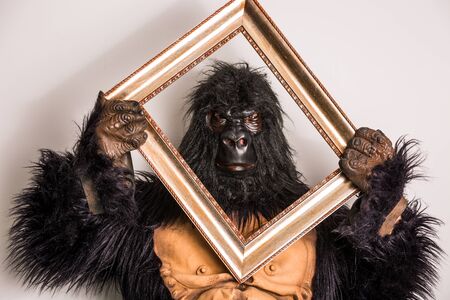 gorilla in studio with vintage frameの写真素材