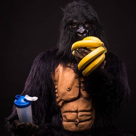 gorilla in studio with shaker and bananaの写真素材