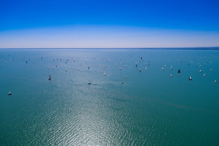 White Sail Boats on Lake Balaton