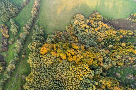 aerial view of beautiful autumn forestの写真素材