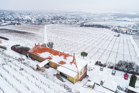 aerial photo of Vineyard in winter time with snowの写真素材