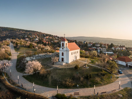 Chapel in Havihegy, Pecs, Hungary with the Tree of the Year