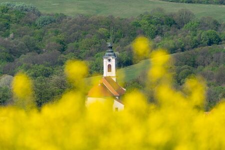 Church tower with yellow canola field in Abaligetの写真素材