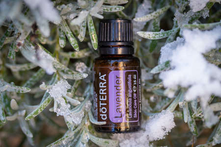 Pecs, Hungray - Jan 25 2021 - Illustrative editorial image of Doterra Essential Oils for everyday useのeditorial素材