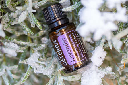 Pecs, Hungray - Jan 25 2021 - Illustrative editorial image of Doterra Essential Oils for everyday useのeditorial素材