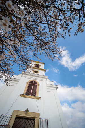 Small chapel with almond tree, called snowy blessed churchの写真素材