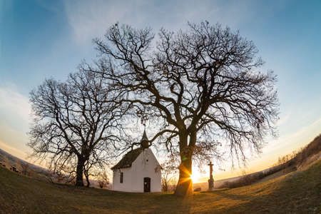 Small chapel with huge tree, called in Hungary Szent Orban Kapolna, Molyhos Oakの写真素材