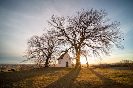 Small chapel with huge tree, called in Hungary Szent Orban Kapolna, Molyhos Oakの写真素材