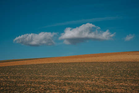 Spring landscape with beautiful cloudy skyの写真素材