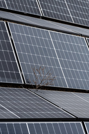 solar panels for alternative energyの写真素材