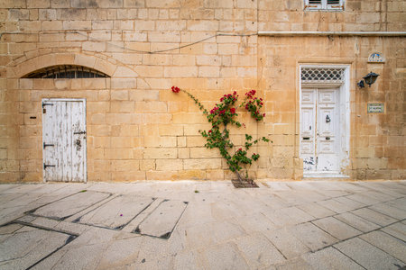 Traditional house detail in Malta. Limestone yellow bricks and colorful balconies, windowsの写真素材