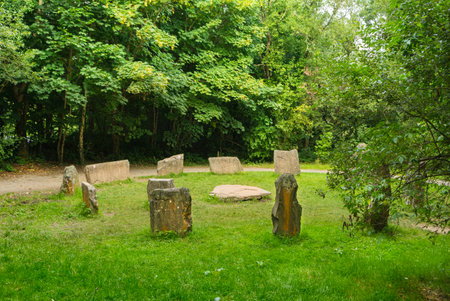 Megalithic remains with stones in a circle in a forest clearing in County Wexford, Ireland.の写真素材