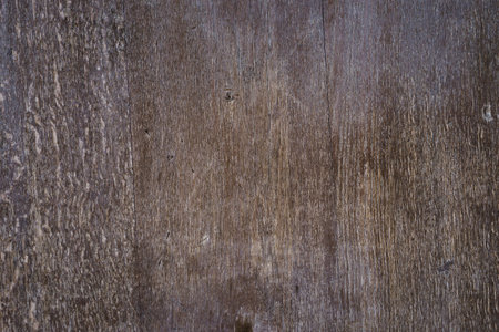 Texture of an old wooden door in brown tones. Concept backgrounds and stencils.