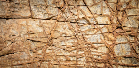 Detail of stone textured by the geological action of the sea in light and warm tones. Concept...