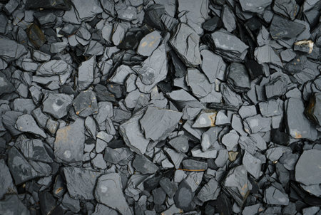 Set of textured and water-wet black rocks in a garden.の写真素材