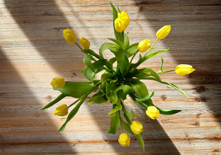 Top view of a bouquet of sunlit yellow tulips on a rustic wooden table.の写真素材