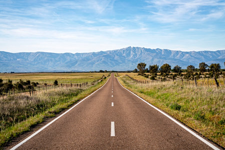 Scenic view of a long straight country road leading toward distant blue mountains under a clear sky.の写真素材