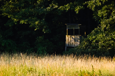 Hunting box hiding in the edge of autumn forestの写真素材