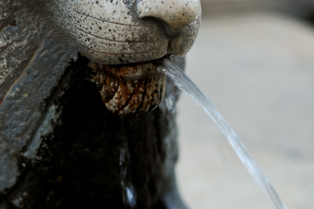 Lion-headed gargoyles spit waters, close-upの写真素材
