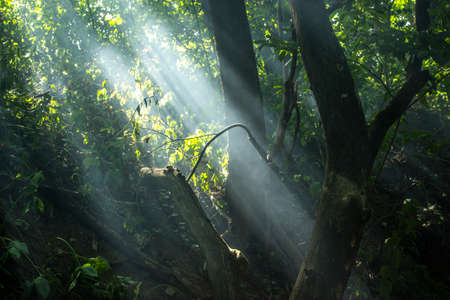 Sunriseの写真素材