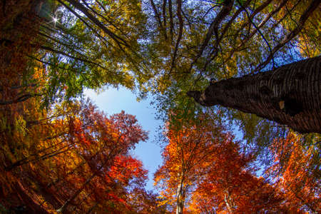 By the root of treeの写真素材