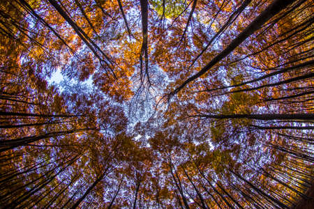 In close circleの写真素材